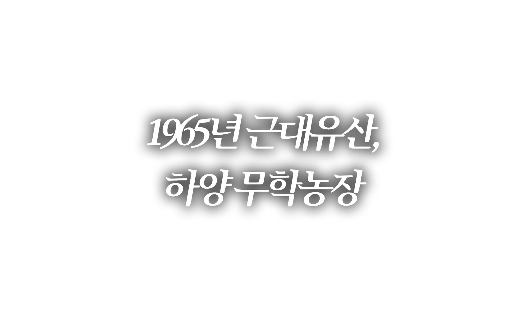 이미지1