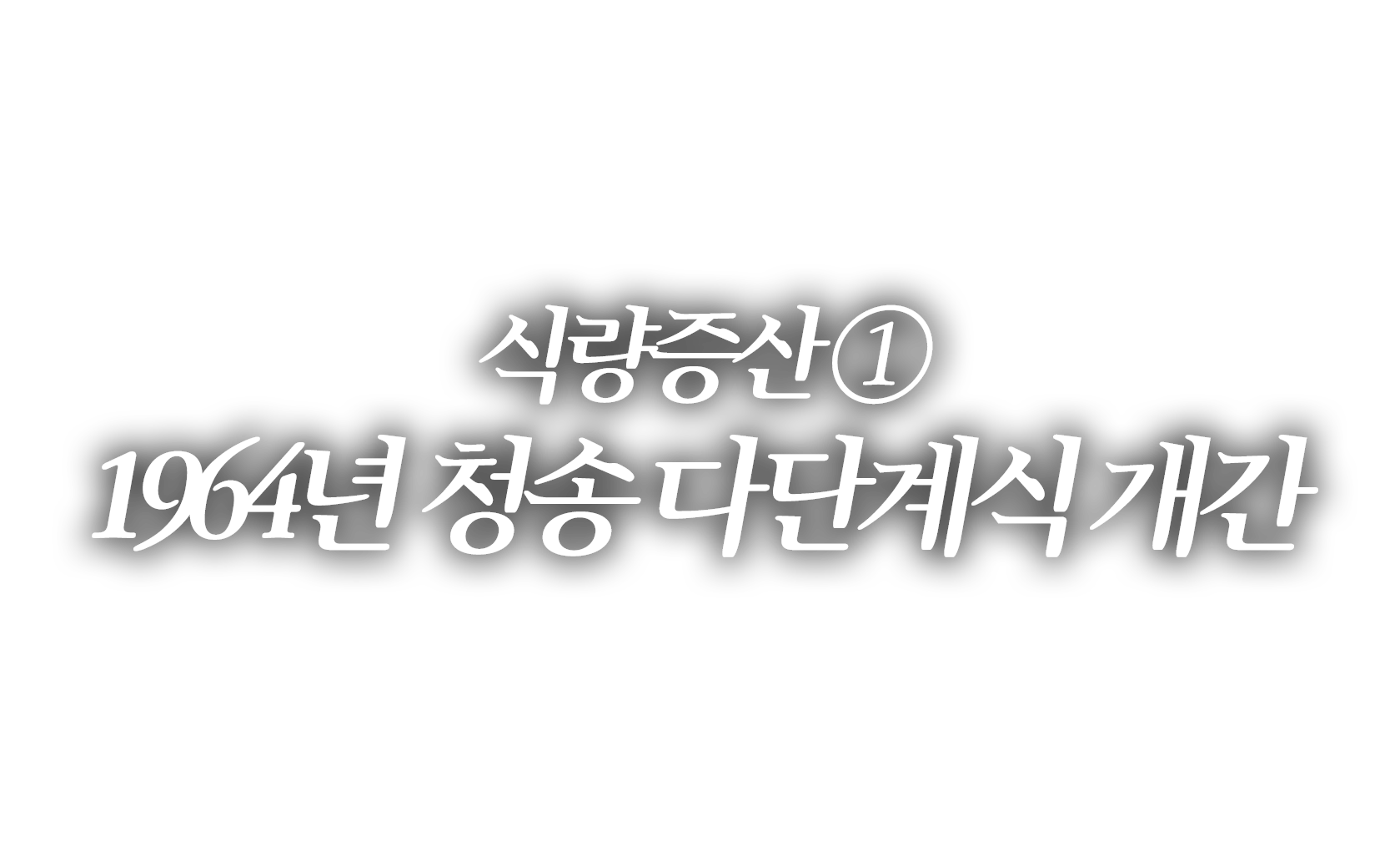 이미지1