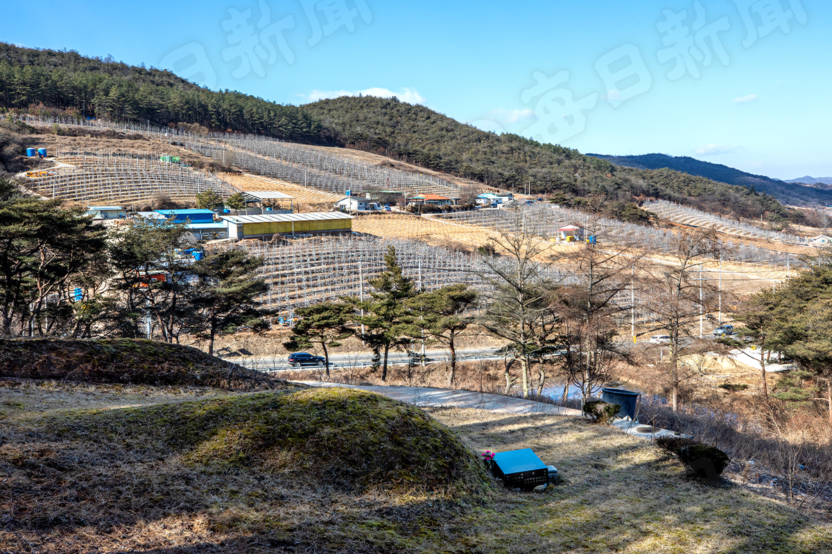 이미지1