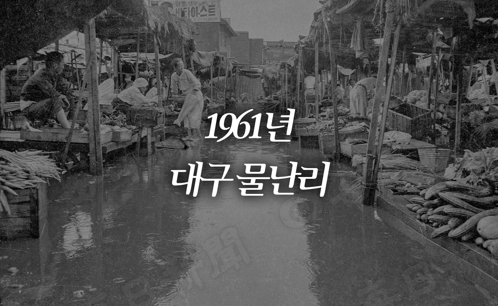 1961년 대구 물난리 (2024.07.18.)