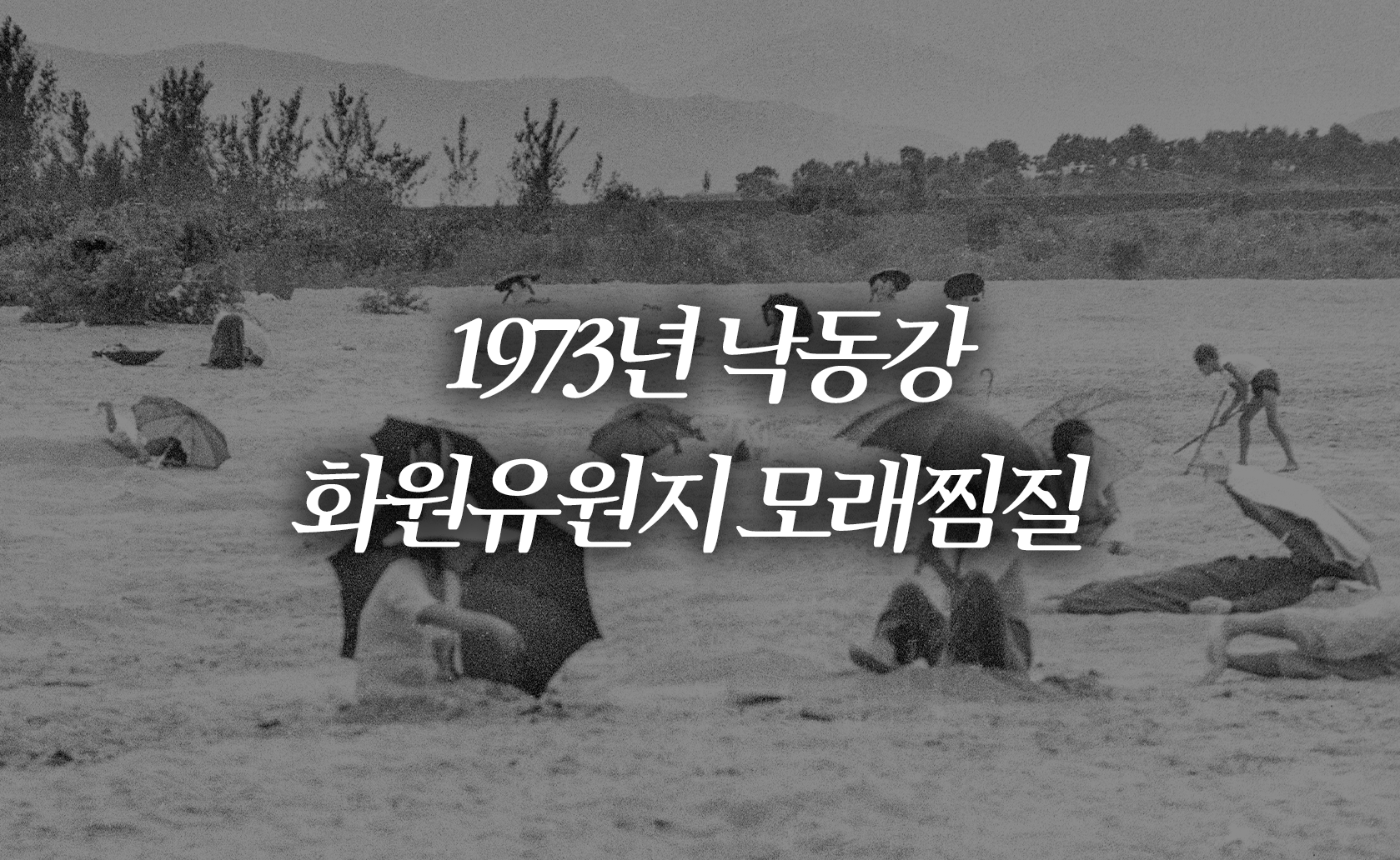 1973년 낙동강 화원유원지 모래찜질 (2024.08.16.)