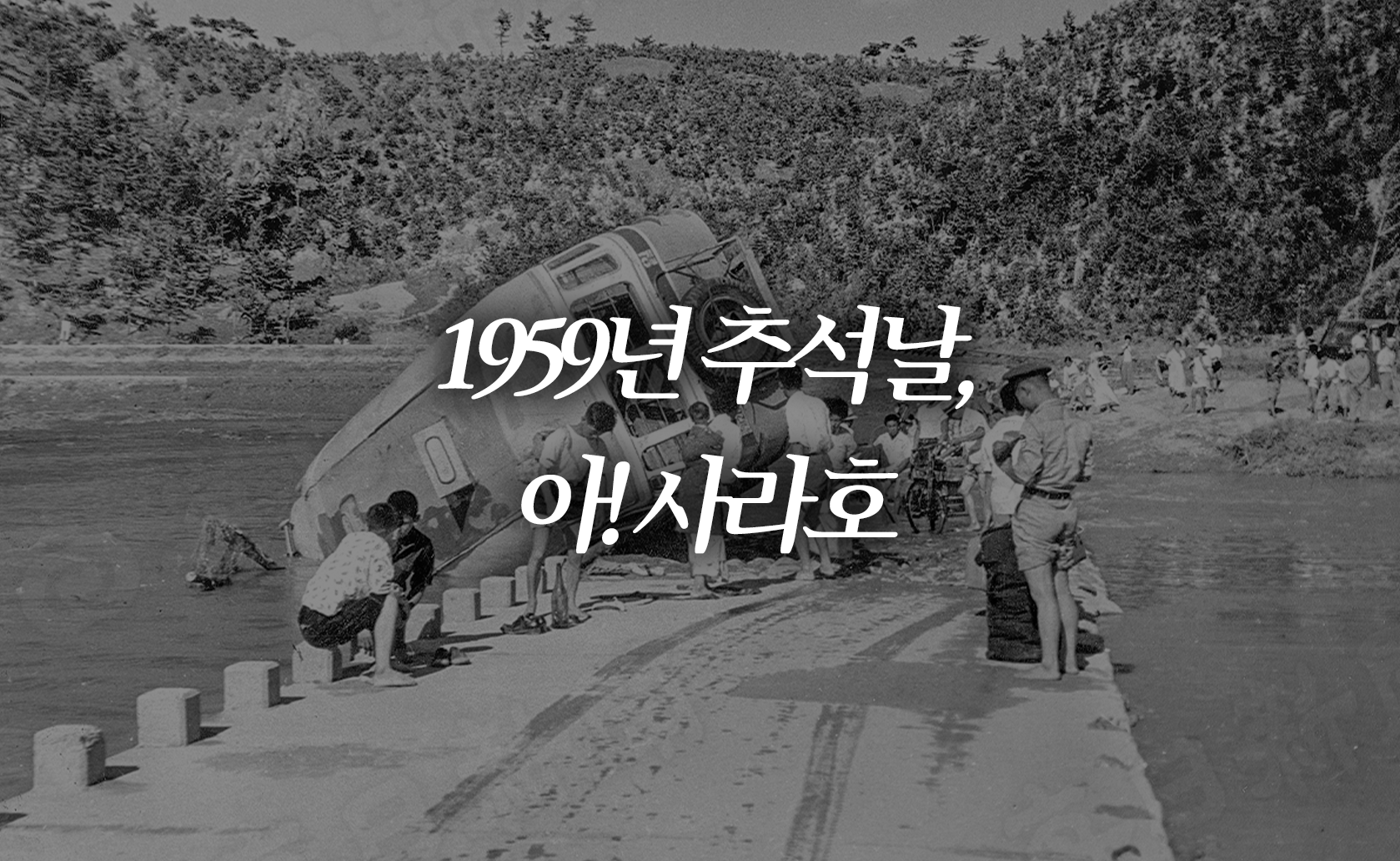 1959년 추석날, 아! 사라호 (2024.09.13.)