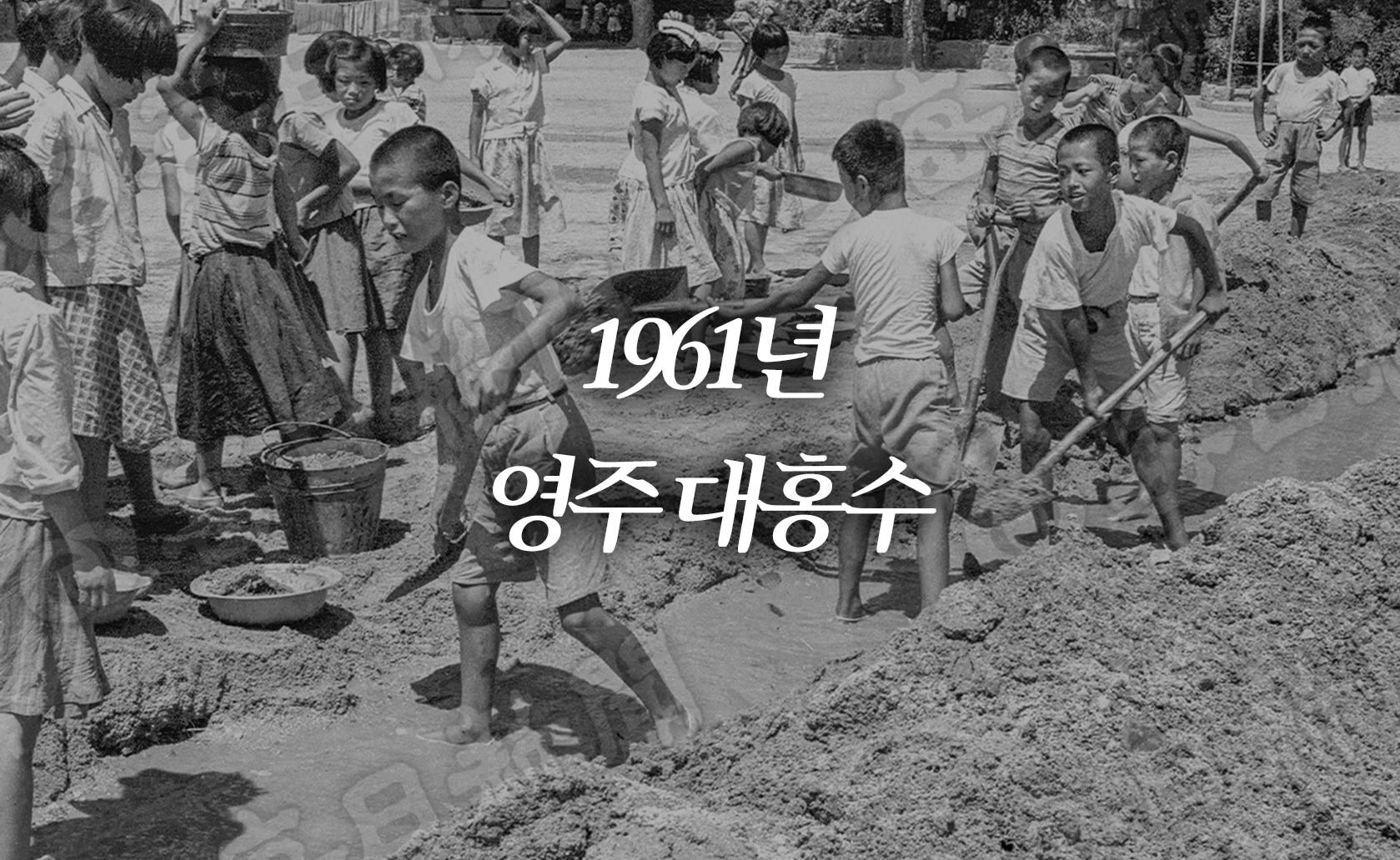 1961년 영주 대홍수 (2025.07.18.)