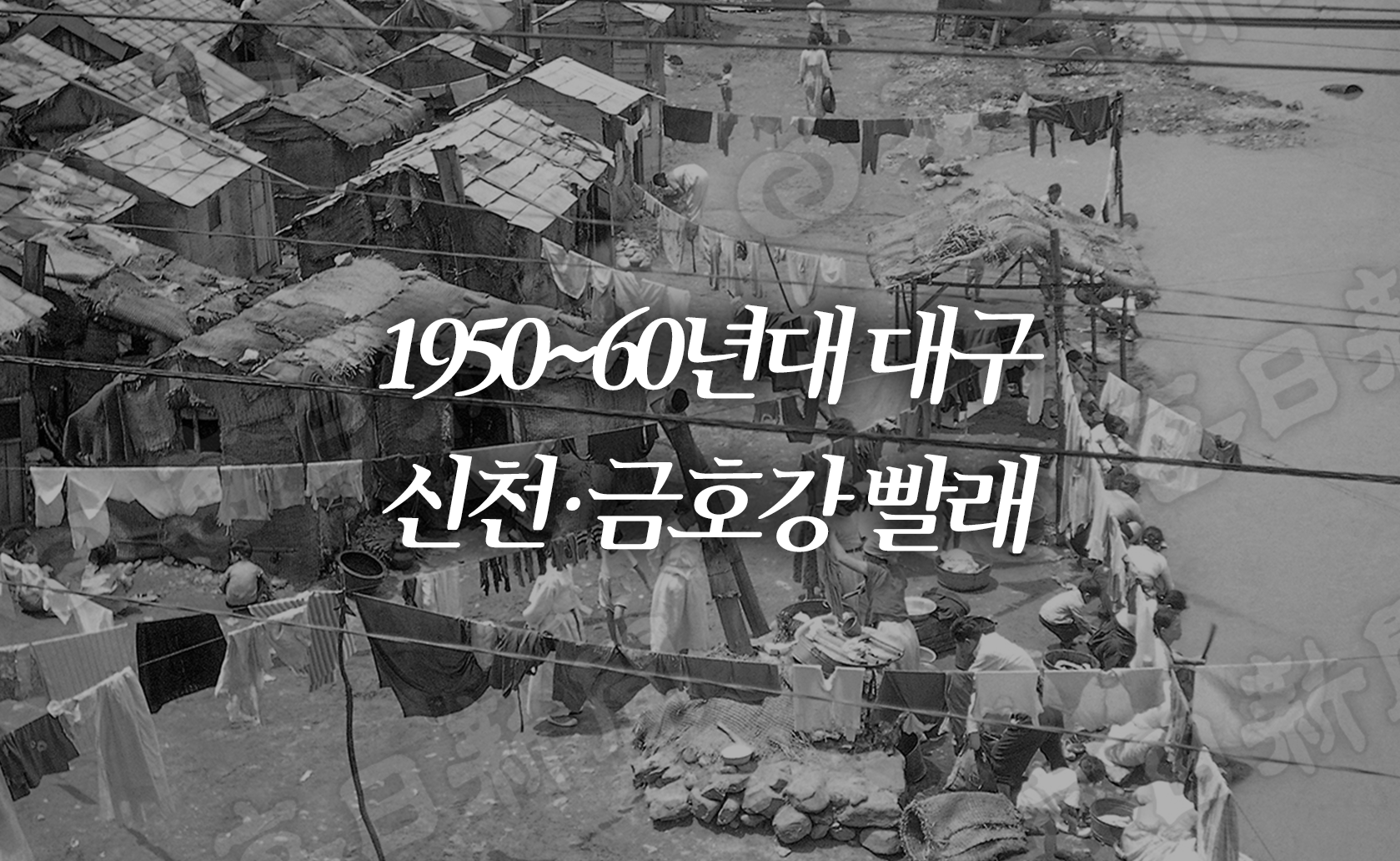 1950~60년대 대구 신천·금호강 빨래 (2025.08.29.)