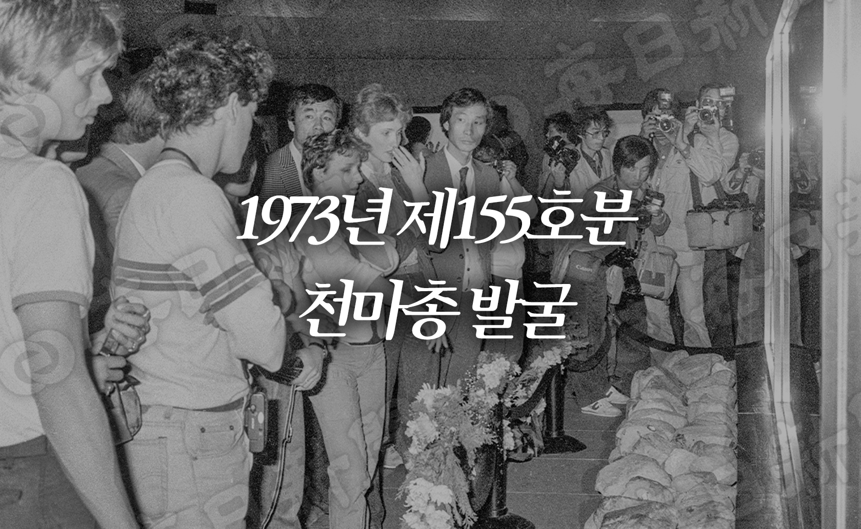 1973년 제155호분 천마총 발굴 (2025.10.24.)