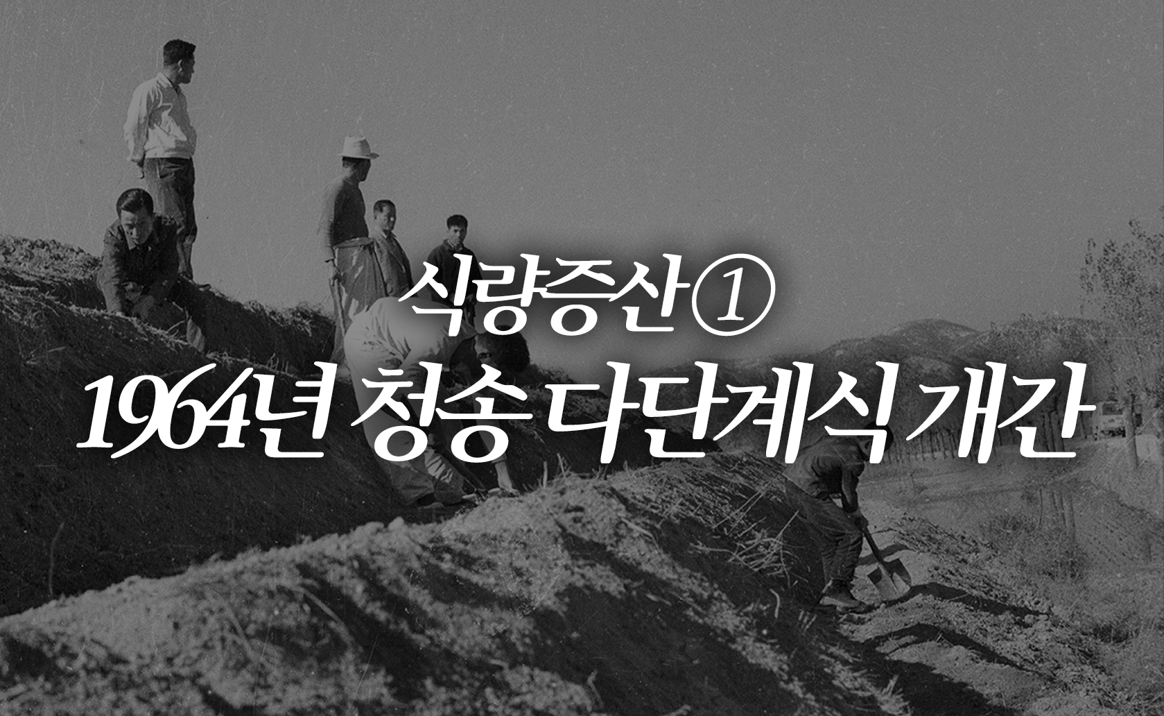 식량증산① 1964년 청송 다단계식 개간 (2024.02.02.)