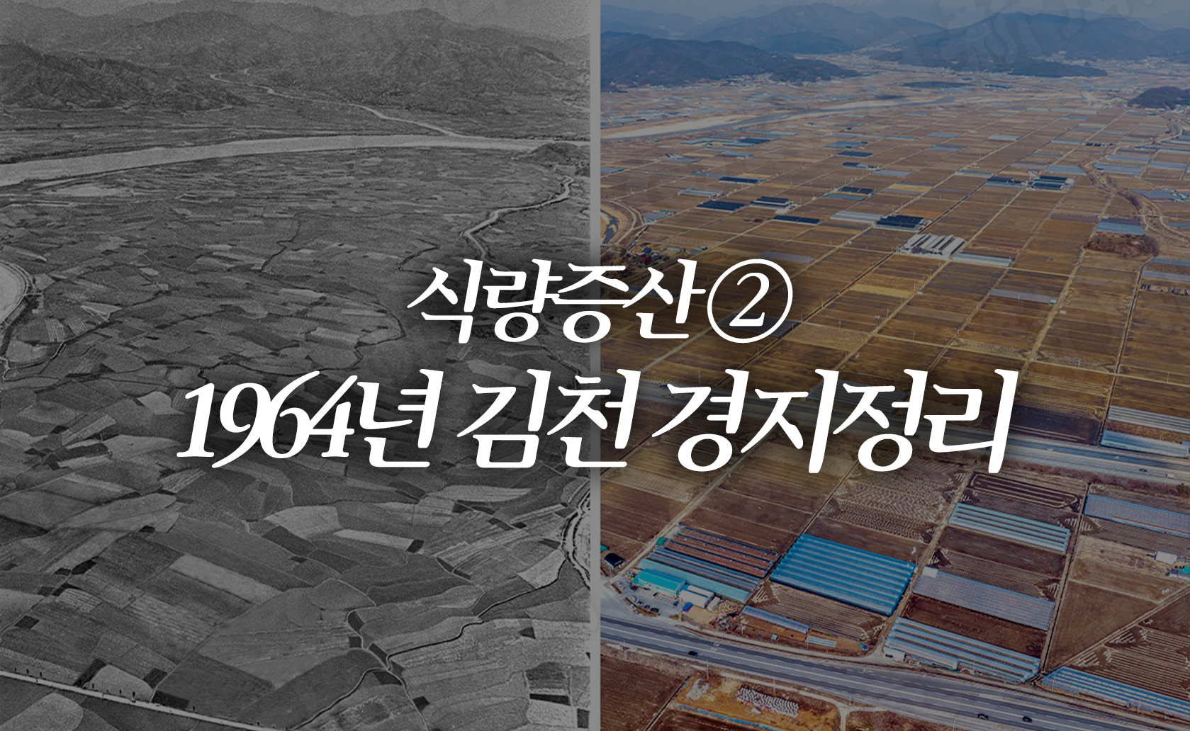 식량증산② 1964년 김천 경지정리 (2024.02.16.)